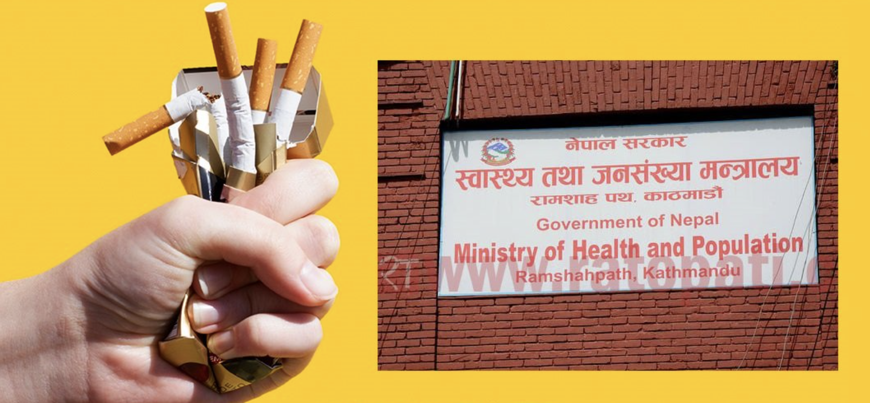 सुर्ती करमा नेपालको सुस्त गति : डब्ल्यूएचओको लक्ष्यबाट टाढा