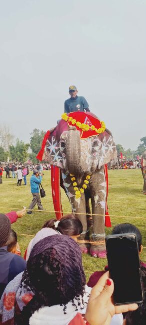चितवन हात्ती महोत्सवमा प्लास्टिक प्रयोगप्रति प्रश्न : ‘मिस हात्ती सुन्दरी २०८२’ चयनसँगै वातावरणीय संवेदनशीलतामा बहस