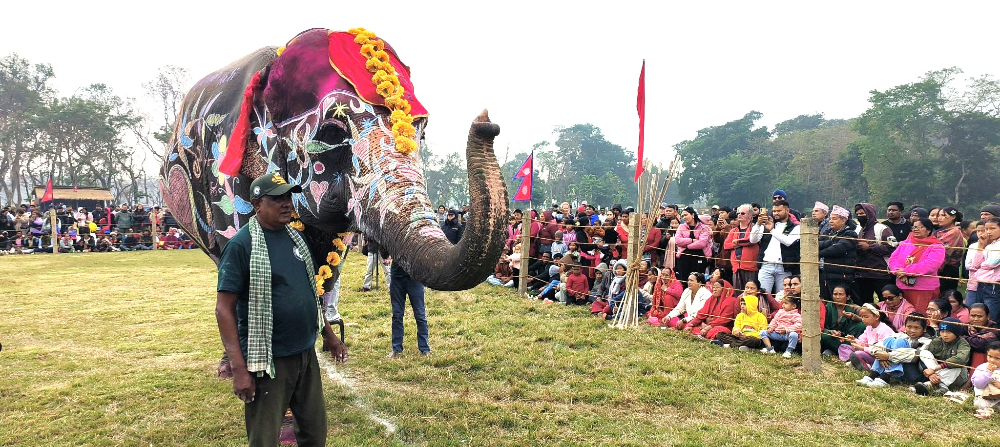 चितवन हात्ती महाेत्सव : पुनमकलीलाई सुन्दरीकाे ताज, डुंगामा कुमराेज पहिलाे